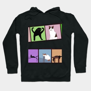 Cursed Cats Hoodie